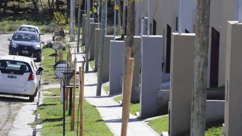 El municipio continúa con la plantación de nuevos arboles 