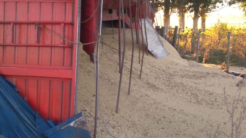 Camión volcó su acoplado cargado de soja