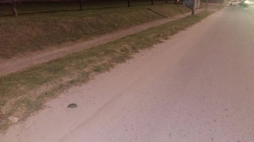 Inbox: denuncia por la falta de mantenimiento del cordón asfáltico de una avenida