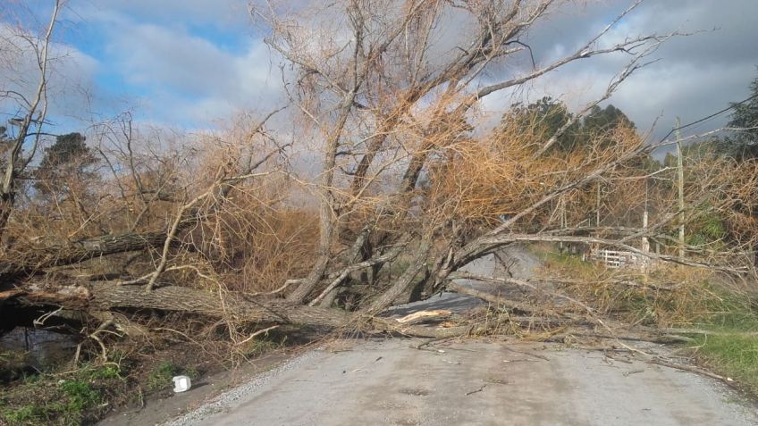El viento con ráfagas de más de 80 kilómetros dejó su huella en la ciudad