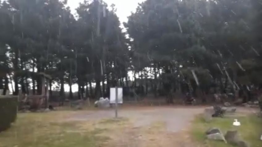 Video: ¡Y finalmente nevó!