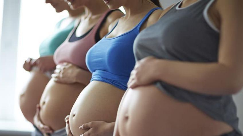 Capacitación para el acompañamiento a la mujer con embarazo vulnerable
