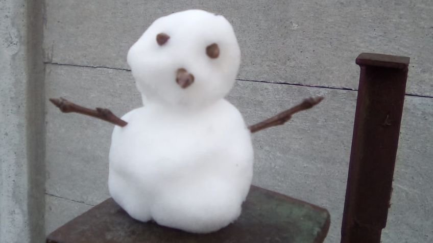 Y volvió la nieve a Tandil