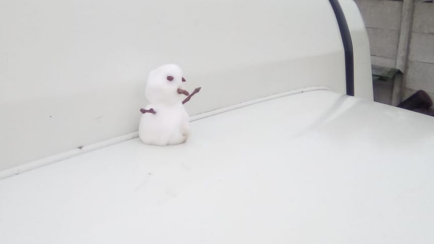 Y volvió la nieve a Tandil