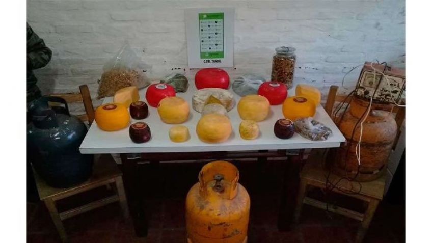 Recuperan quesos robados de una fábrica de Azucena