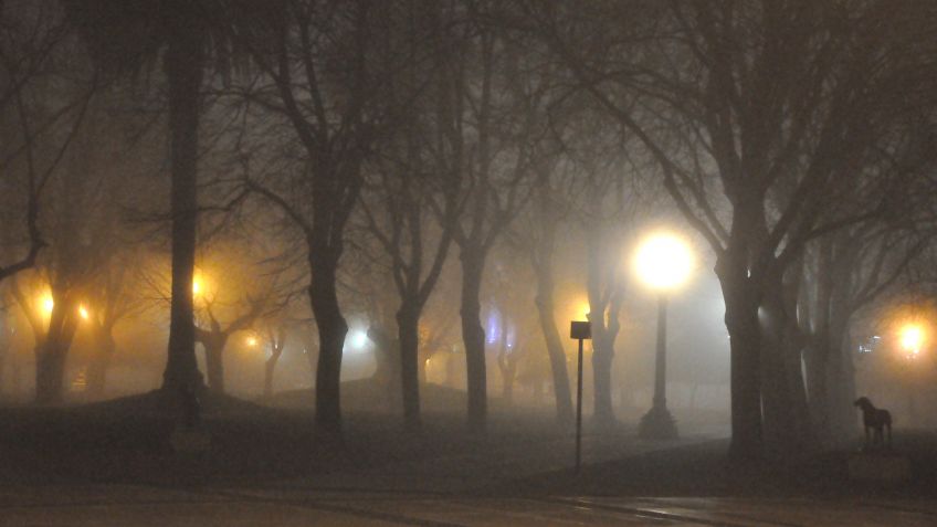 Viernes: neblina y 6º de mínima