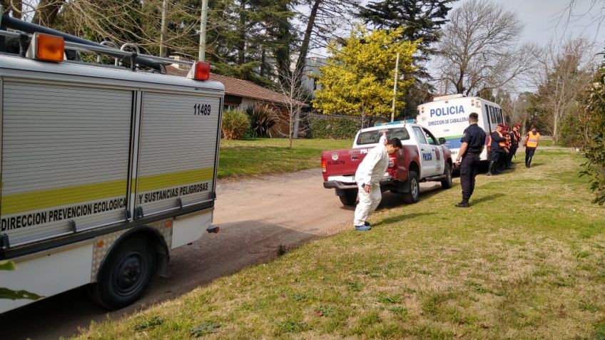 Rastrillaron el Barrio Golf ante el envenenamiento masivo de perros