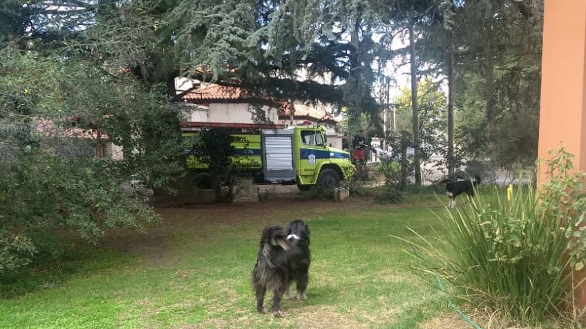 Continúan los trabajos en el Barrio Golf tras el envenenamiento masivo de perros