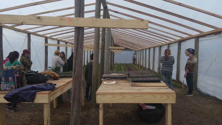 Comenzaron cosechar los primeros productos de la Huerta Comunitaria Agroecológica