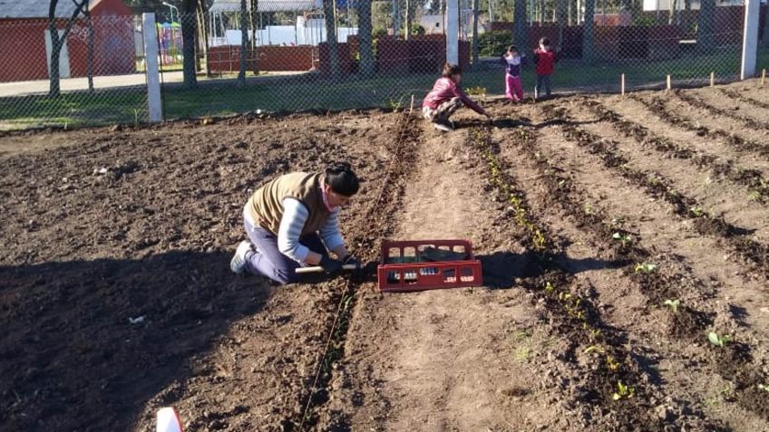Comenzaron cosechar los primeros productos de la Huerta Comunitaria Agroecológica