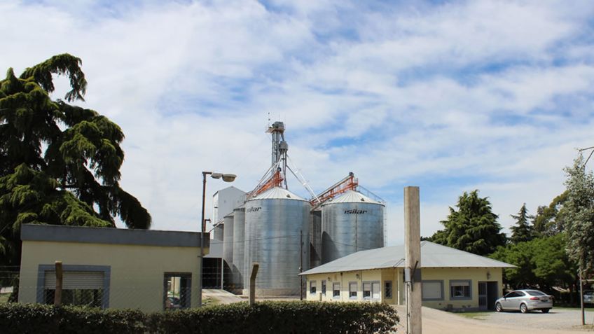 Invertirán 9 millones de dólares en la construcción de un molino harinero