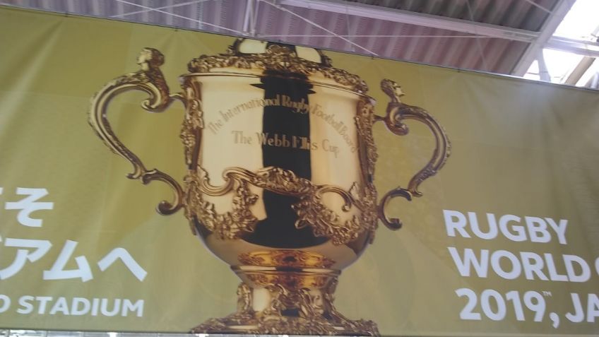 Viví el Mundial de Rugby con El Diario de Tandil