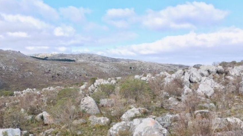 "Reclamamos a las autoridades que garanticen Sierras sin canteras ni construcciones"