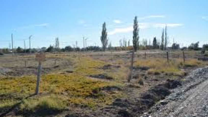 Se conocen las propuestas para la adquisición de tierras que serán destinadas a viviendas