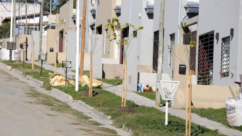 El Municipio difundió recomendaciones para el cuidado del arbolado público 