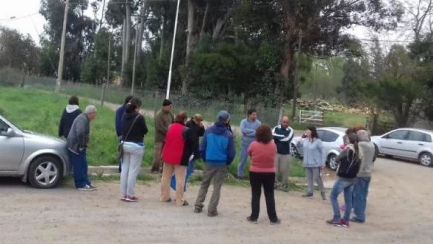 "El olor que emana la planta es nauseabundo, insoportable"