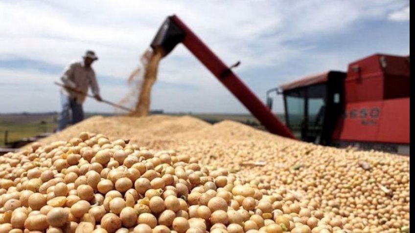 Por decreto, el Gobierno subió las retenciones al campo