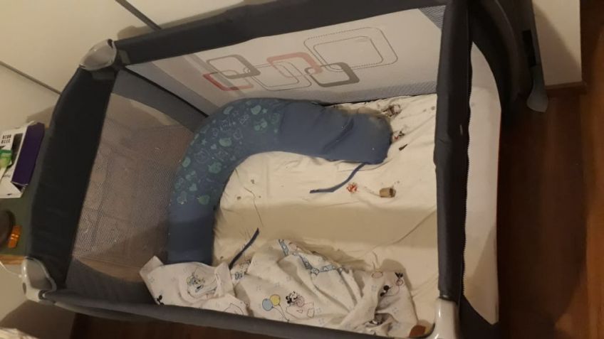 Tiraron un petardo y cayó en la cuna de un bebé