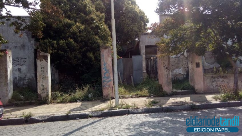 Años de abandono y desidia en Paz al 1200 entre yuyos y roedores. Un poco más al centro, el domingo la basura derramada en el CCU. Solo una muestra.