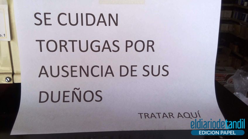 El cuidador de tortugas