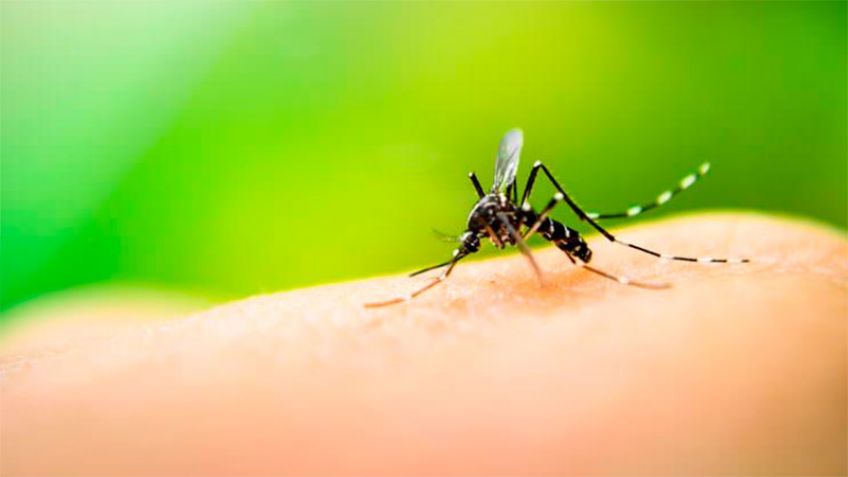 Analizan posible caso de dengue en Tandil