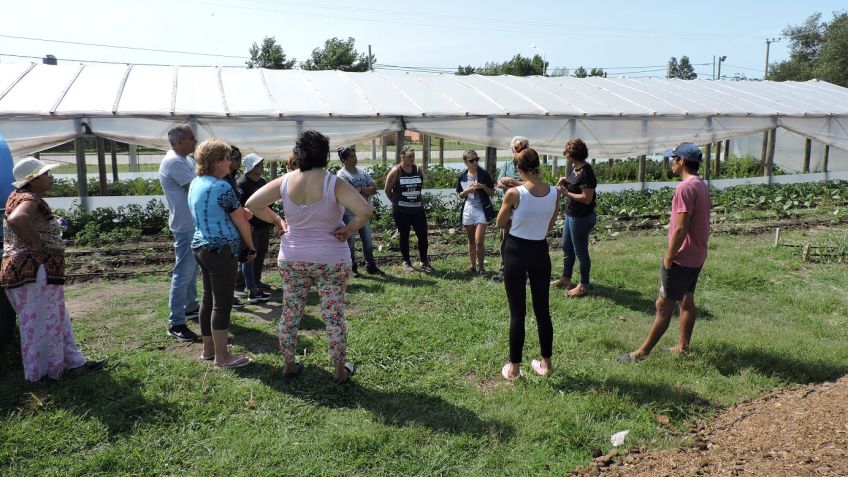 15 familias trabajan en la Huerta Comunitaria Agroecológica de La Movediza