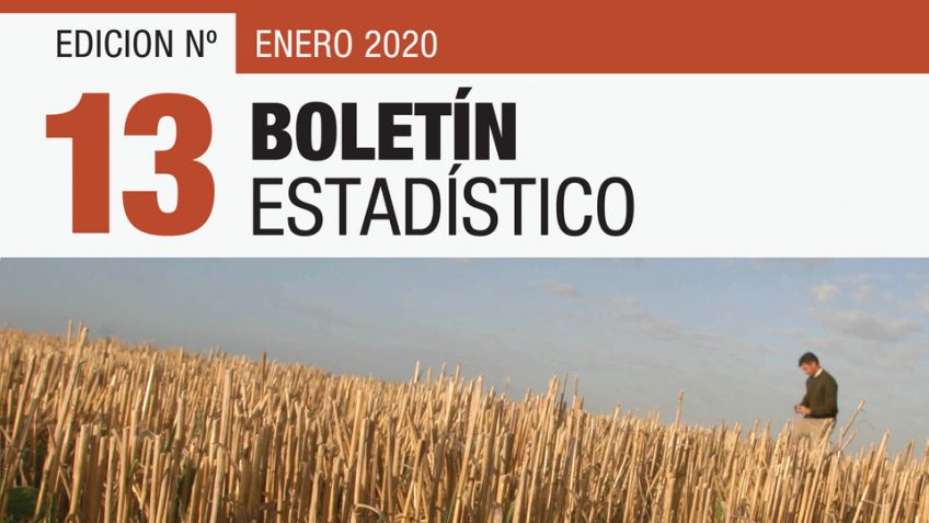 El municipio continúa publicando el Boletín Estadístico Mensual