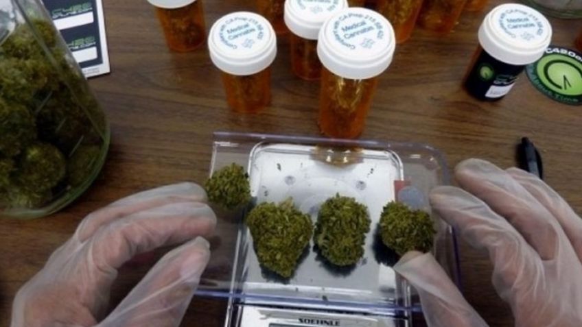 El Conicet evaluará la calidad del cannabis medicinal