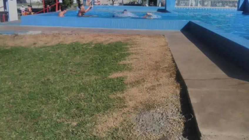 Herbicidas en Gardey: el Municipio inició un proceso para determinar responsabilidades