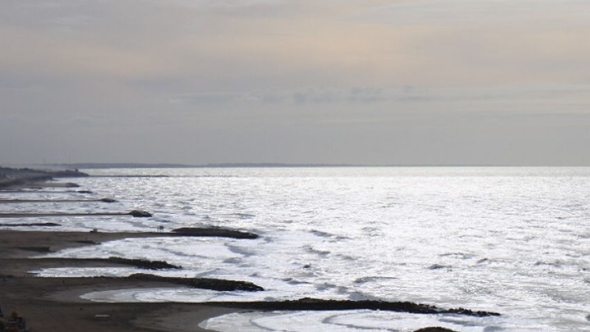 Mar del Plata y el alerta de Tsunami: la voz de los expertos marplatenses