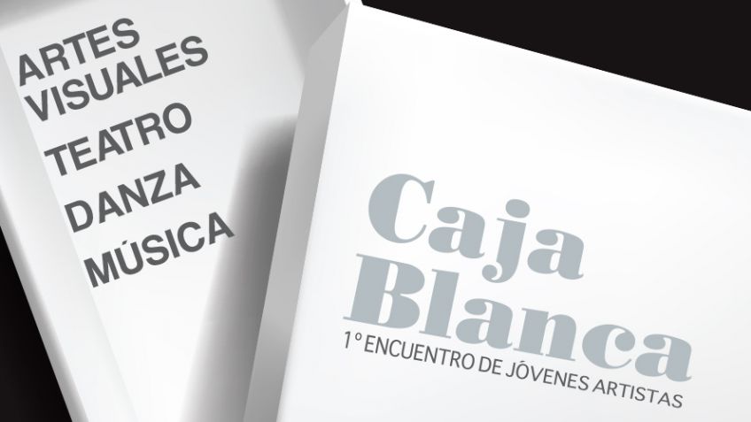 "Caja Blanca" en el Museo de Bellas Artes