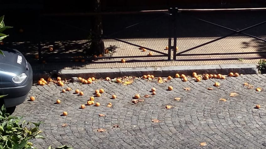 Vecinos de Yrigoyen agradecen la limpieza