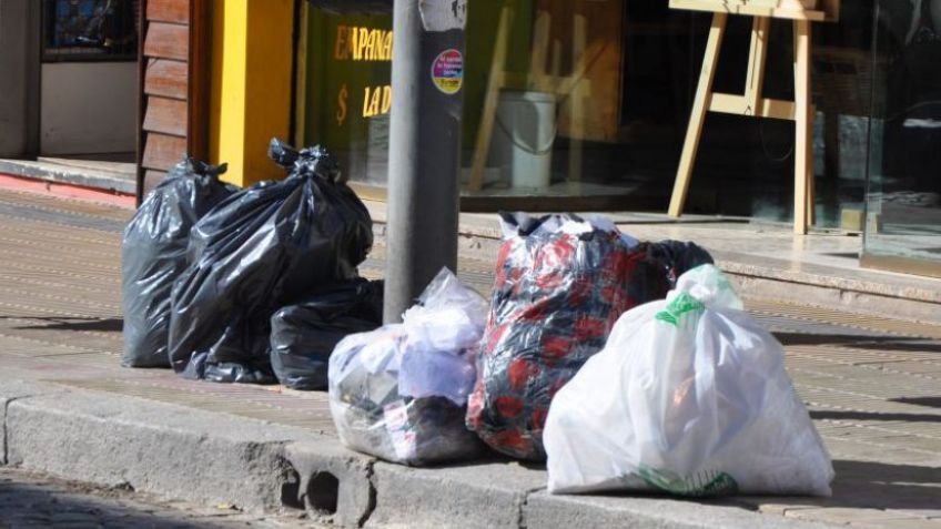 La recolección matutina será de lunes a viernes