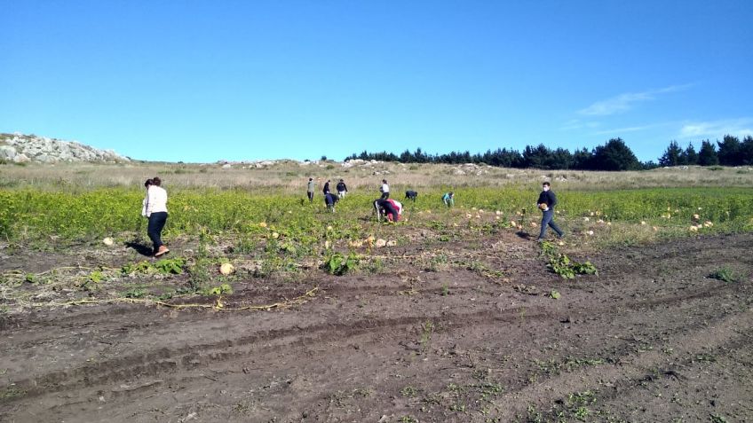 Se comenzaron a entregar alimentos producidos en la chacra "El Arraigo"