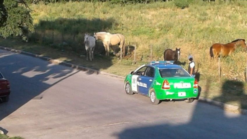 Ante la ola de robos, Cerro Leones será vigilado las 24 horas