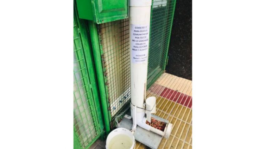 "Inventó" un comedero para perros callejeros: pide colaboración y que no se lo rompan