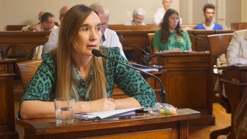El bloque oficialista llamó a "encontrar un equilibrio" en los alquileres