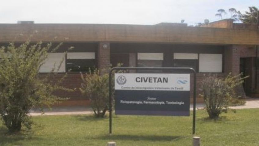 Probarán la ivermectina en 45 pacientes de Coronavirus