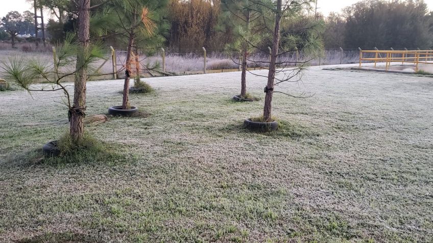 Tandil superó los -4º de térmica y la ciudad se tiñó de blanco