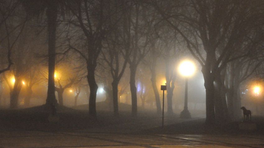 Miércoles con neblina