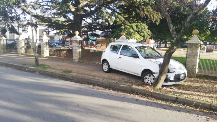 Automovilista "se tragó" un árbol en Uriburu