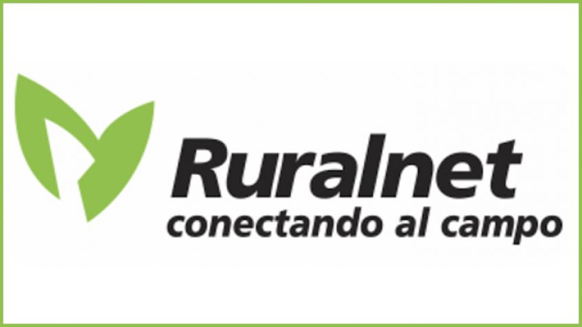 Papa: paso a paso para una correcta plantación y cosecha