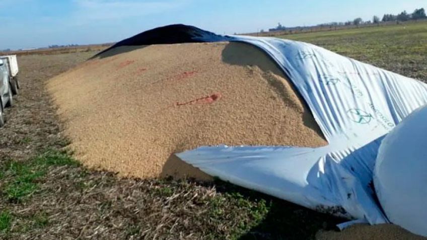 Piden que productores informen a Patrulla Rural si poseen silobolsas