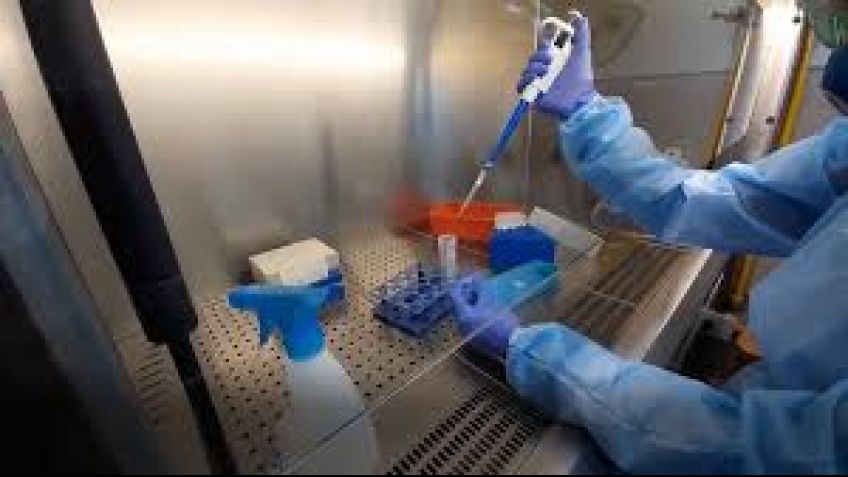Coronavirus: investigadores a cargo de testeos agradecen colaboraciones