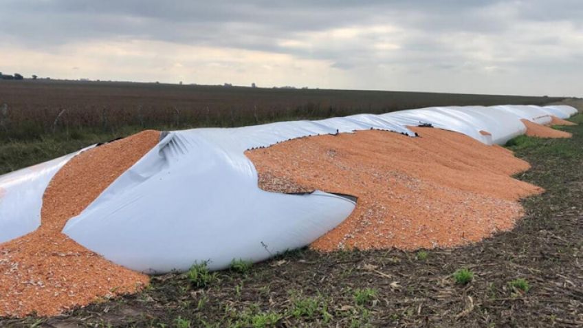 Preocupación y reclamo por mayor seguridad a la propiedad privada en el agro