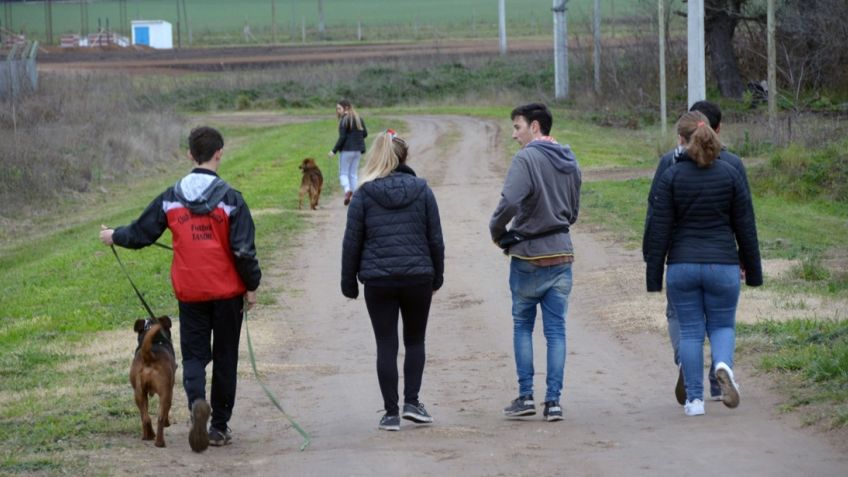 "Adoptame Tandil" sigue buscando familias para los perros de la ciudad