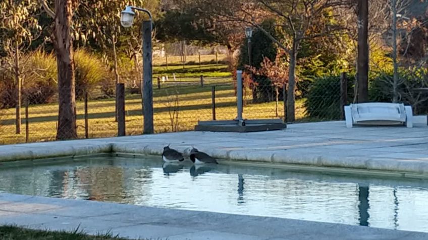 Tandil amaneció con hielo por todos lados y una sensación de -8ºC