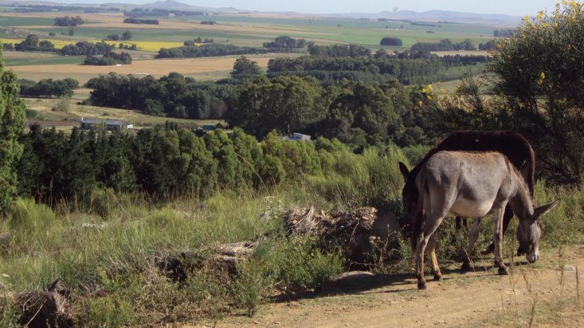 La Reserva Natural Sierra del Tigre abre para ser visitada por tandilenses