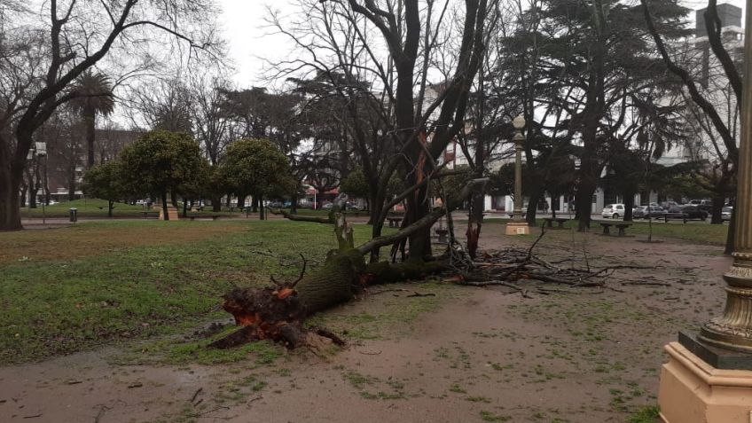 Las ráfagas de viento provocaron inconvenientes en distintas zonas de la ciudad