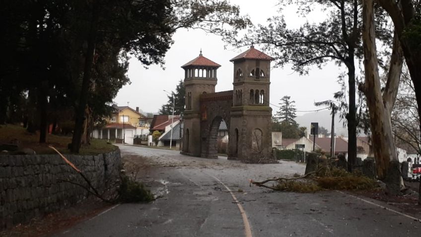 Las ráfagas de viento provocaron inconvenientes en distintas zonas de la ciudad